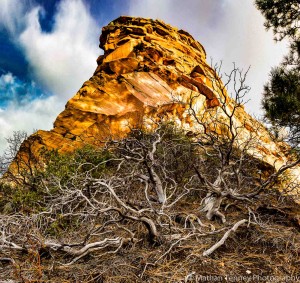 IMG_3684-Pano
